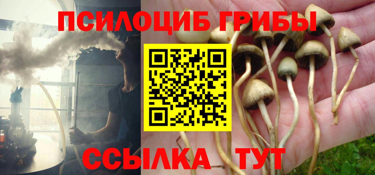 Галлюциногенные грибы MAGIC MUSHROOMS  Псилоцибиновые грибы MAGIC MUSHROOMS  Вход с VPN  Павлово 