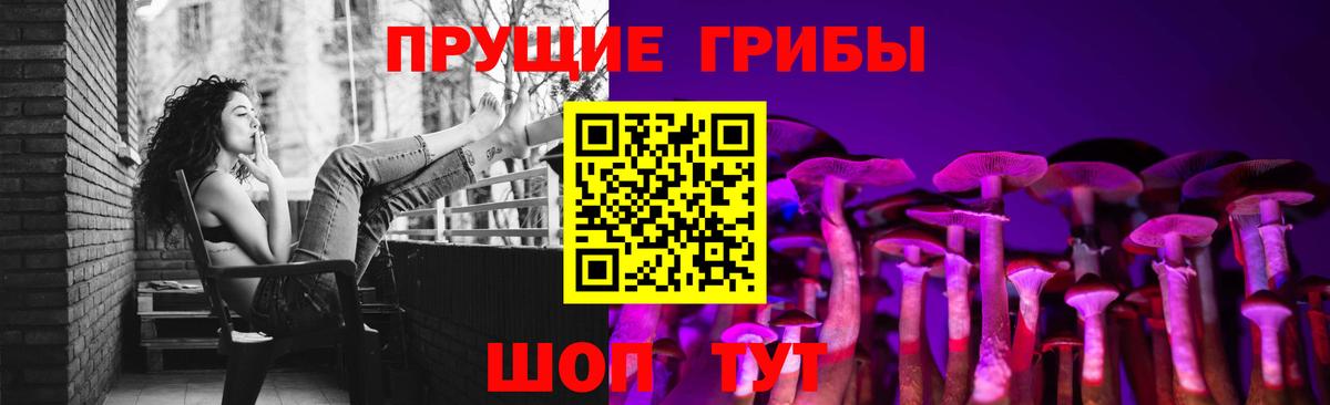Псилоцибиновые грибы MAGIC MUSHROOMS Павлово